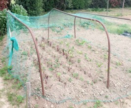 Les jardins de Bel-Air