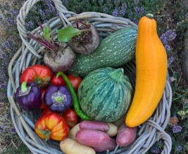 les jardins du bord de Loire