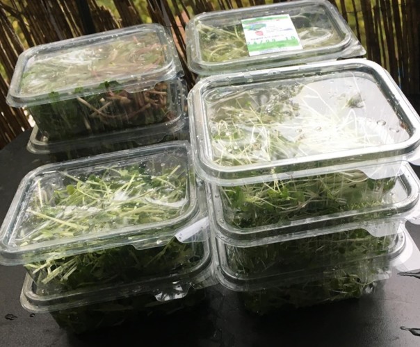 Micro Pousses Clamart