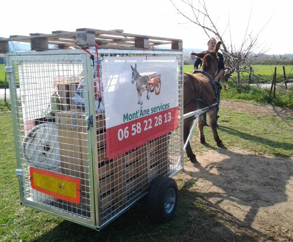 Jardin de Curiosités