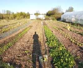 Les Jardins de Lilie