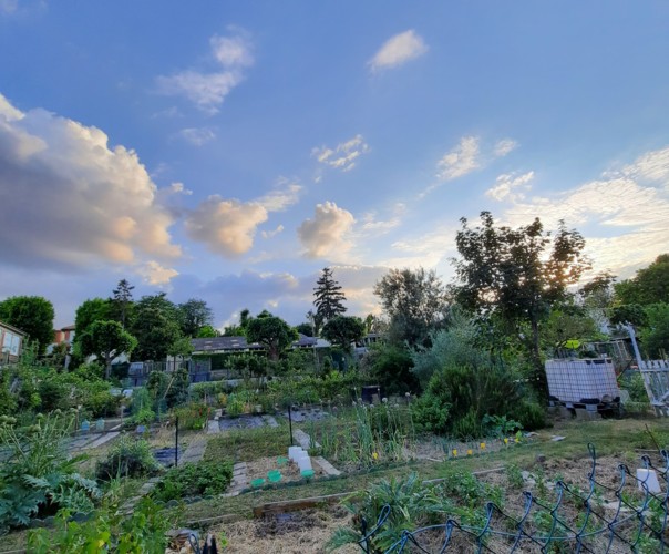 Le potager enchanté