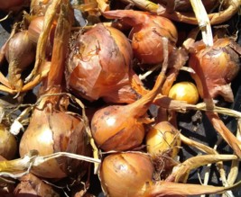 La Ferme de l'Aubette