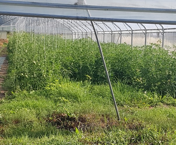 La Ferme de l'Aubette