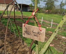 L'atelier de Magali D.