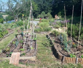 Le jardin du Picadis