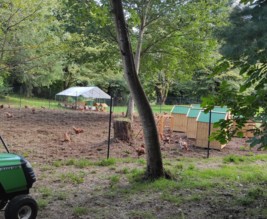 La Poule Guegonnaise