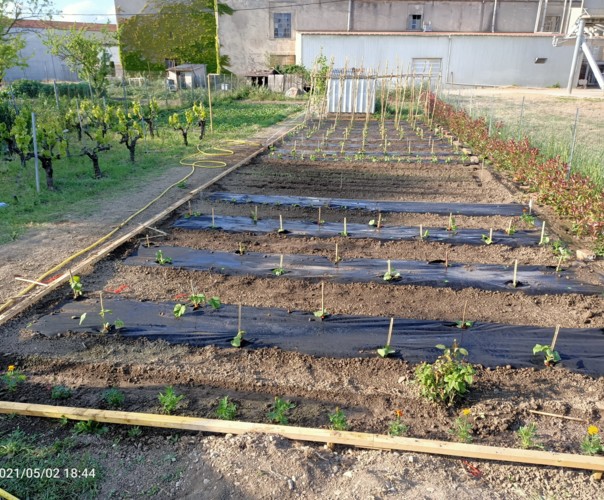 Au Petit Jardin de Léa