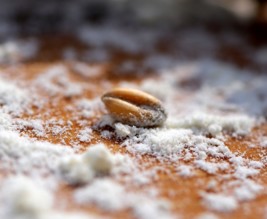 La Ferme de Chardonnet