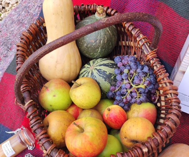 Le Verger  d'Olivier