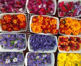 Les Paniers du Maquis