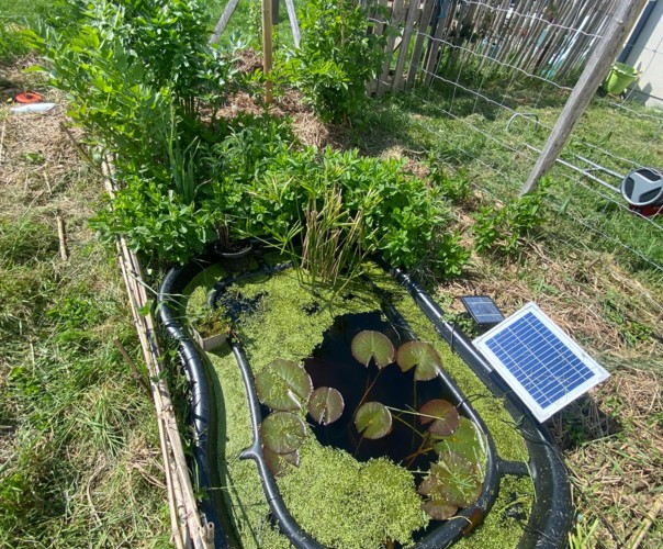 Le jardin des éveils