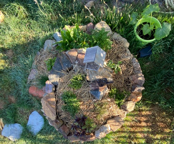 Le jardin des éveils