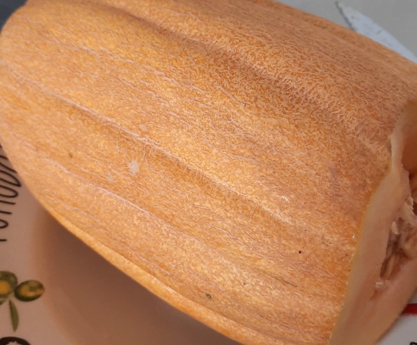 Pastèque-Melon-Courges-Tomate-Concombre.