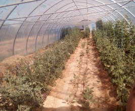 Aux Jardins Célestes