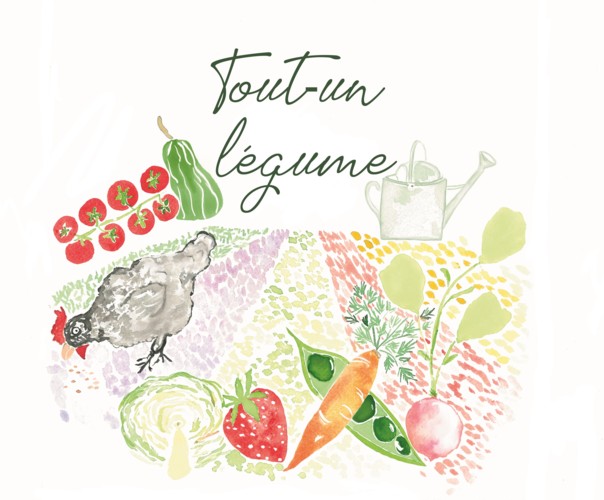 TOUT UN LEGUME