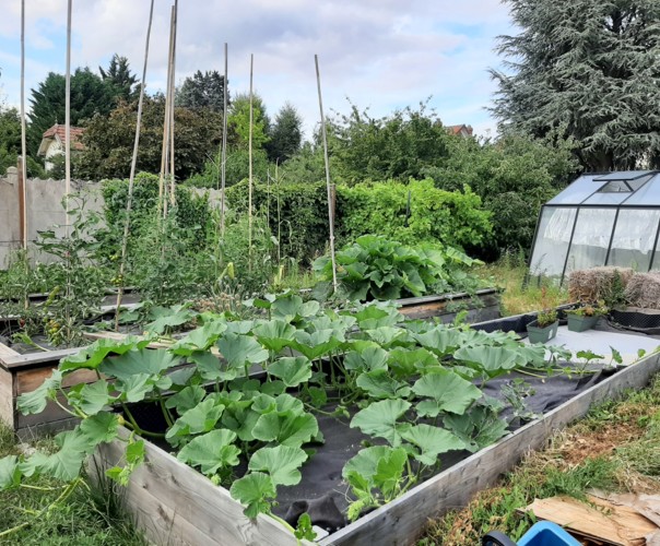 Les carrés d'Antoine