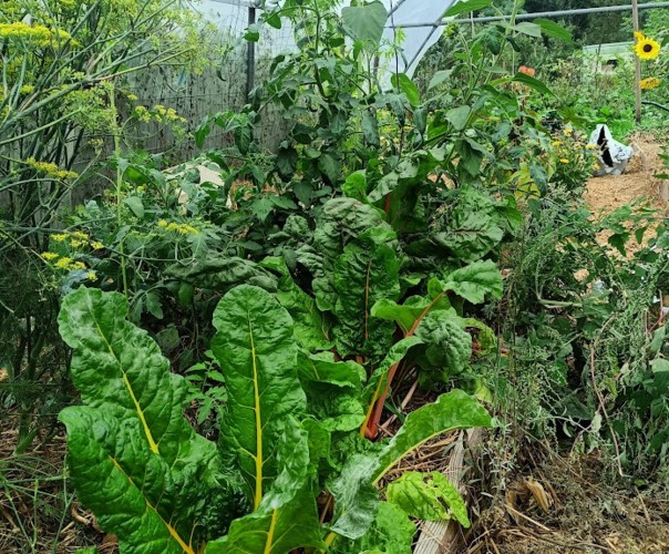 le jardin du chateau