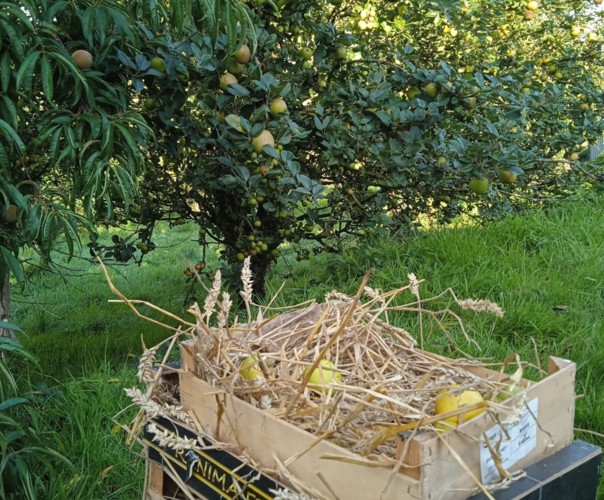 Le banquet de Créniel