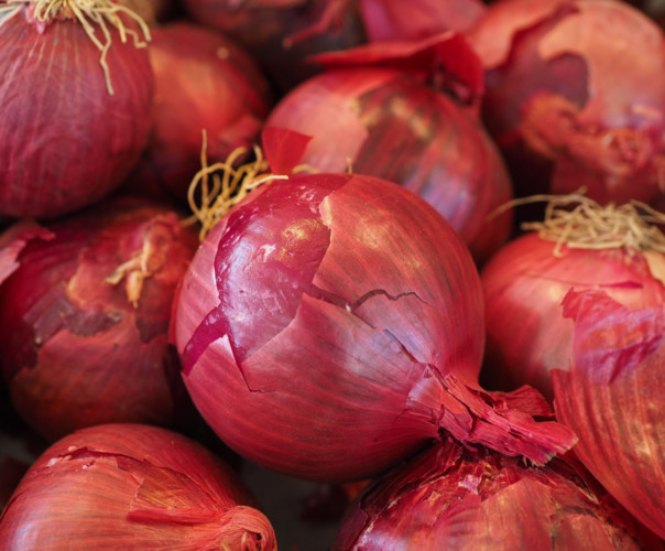 Oignons rouges