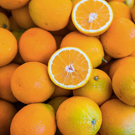 Orange  ORANGE AMERE  