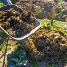 Fumier & Crottin  Fumier de cheval - Prix en fonction de la quantité  