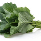 Choux  Choux vert en branches  