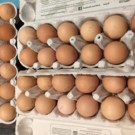 Oeufs  Pouvez vous venir avec vos contenants merci   