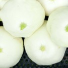 Courgette  Pâtisson  