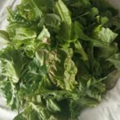 Feuilles  Mesclun salades en mélange  