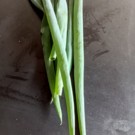 Autre  Queues d'oignon ciboule  