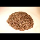 Lentilles  Lentilles vertes bio en vrac  