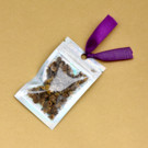 Graines  Rose trémière  