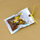 Fleurs  Mix fleurs diversité  