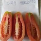 Graines  de tomates san marzano sachets 30 graines  