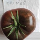 Graines  tomates noir de Crimée sachet de 30 graines  