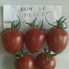 Graines  tomates brin de muguet sachet de 30 graines  