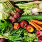 Panier légumes  à retirer le vendredi après-midi ou le samedi  