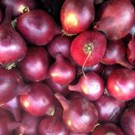 Oignon  Oignon rouge  